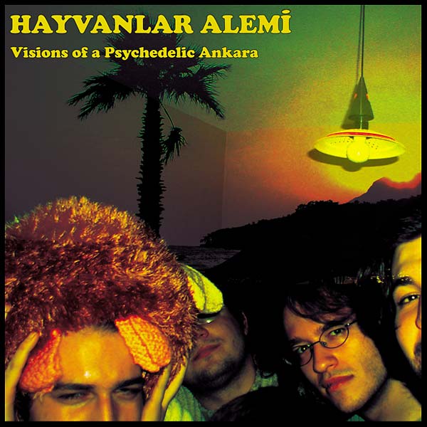 HAYVANLAR ALEMI Visions of a Psychedelic Ankara
