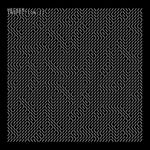 HECKER Inspection II