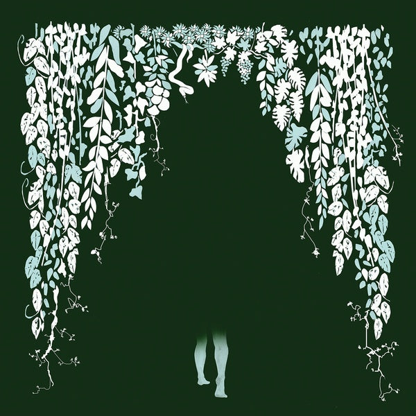 Hey Colossus Four Bibles