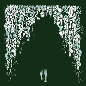 Hey Colossus Four Bibles