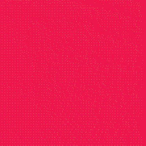 HOLOVR Anterior Space