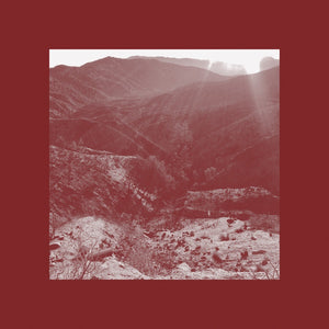 IAN WELLMAN On The Darkest Day, You Took My Hand And Swore It Will Be Okay