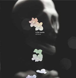 IN THE COUNTRY Whiteout