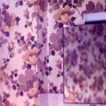 INDIGNANT SENILITY Plays Wagner