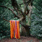 JAMES HOLDEN & THE ANIMAL SPIRITS The Animal Spirits