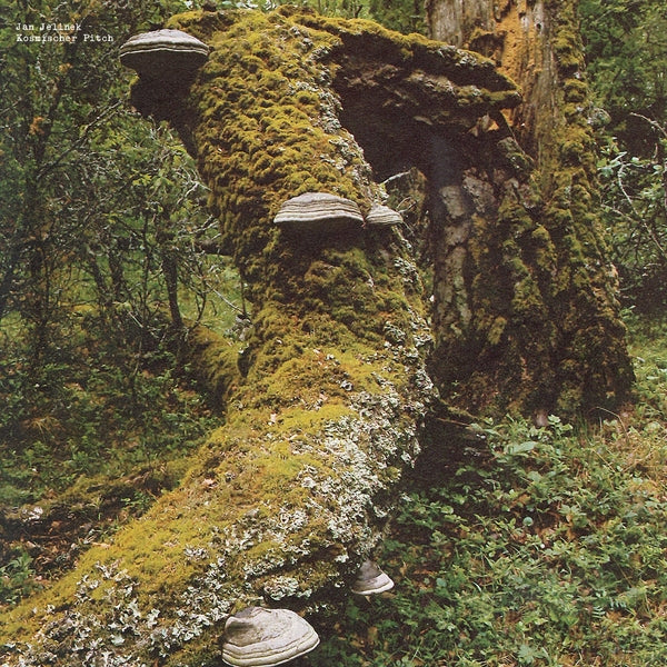 JAN JELINEK Kosmischer Pitch