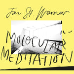 Jan St. Werner Molocular Meditation