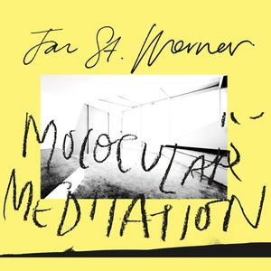 Jan St. Werner Molocular Meditation