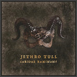 Jethro Tull Curious Ruminant