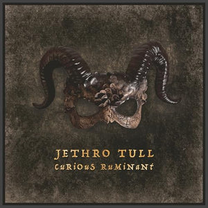 Jethro Tull Curious Ruminant