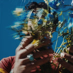 Joe Jonas Music For People Who Believe In Love [Signed Cd] (Indie Exclusive)