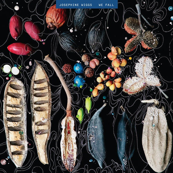 JOSEPHINE WIGGS We Fall