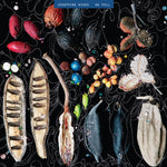 JOSEPHINE WIGGS We Fall