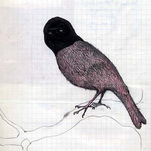 KABOOM KARAVAN Barra Barra