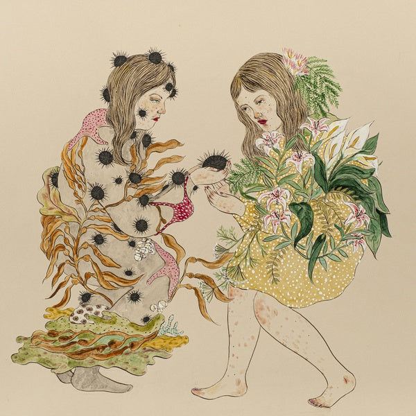 KASS RICHARDS The Language Shadow