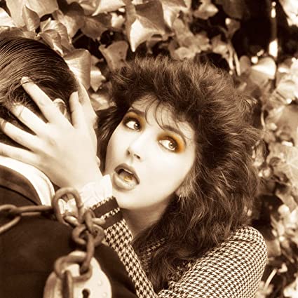 Kate Bush Remastered In Vinyl I (Box Set)