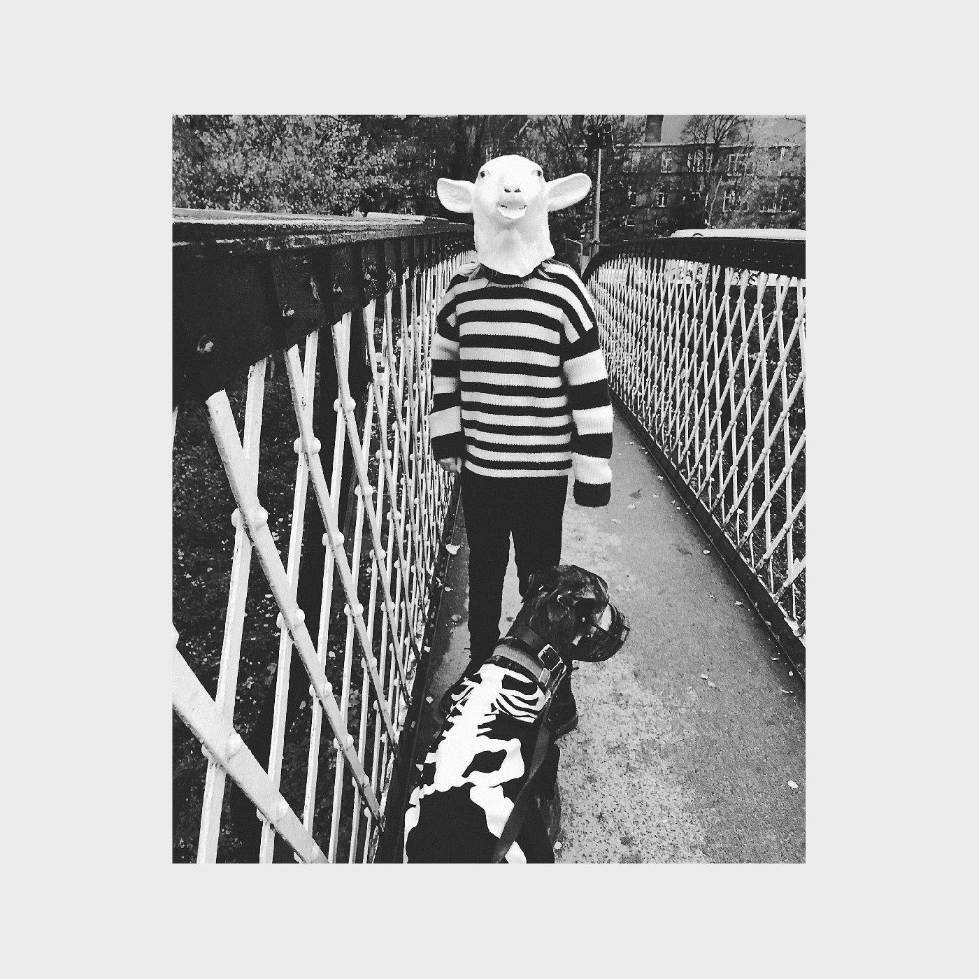 Kathryn Joseph We Were Made Prey.