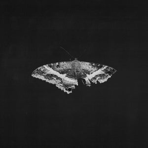 Kendrick Lamar To Pimp A Butterfly (10 Year Anniversary Edition) - Alternate Artwork (Black marble Vinyl) [2 LP]