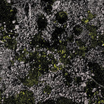 King Gizzard & The Lizard Wizard Infest The Rats Nest (Live at Red Rocks 2022) (GLOW IN THE DARK GREEN VINYL)