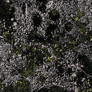 King Gizzard & The Lizard Wizard Infest The Rats Nest (Live at Red Rocks 2022) (GLOW IN THE DARK GREEN VINYL)