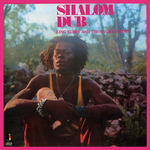 KING TUBBY AND THE AGGROVATORS Shalom Dub