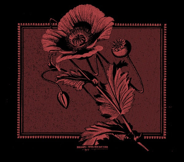 KOLLAPS Until The Day I Die