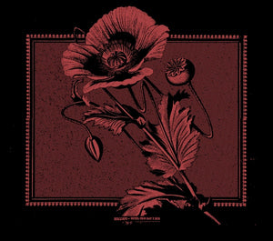 KOLLAPS Until The Day I Die