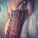 KONNTINENT The Empire Line