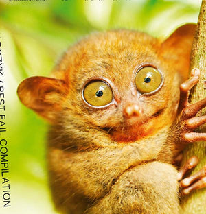 KUCHARCZYK Best Fail Compilation