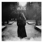 Lana Del Rey Splendour in the Park [Import] (2 Lp)