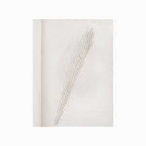 LAWRENCE ENGLISH A Mirror Holds The Sky