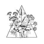 LES CONVERSIONS Cassette