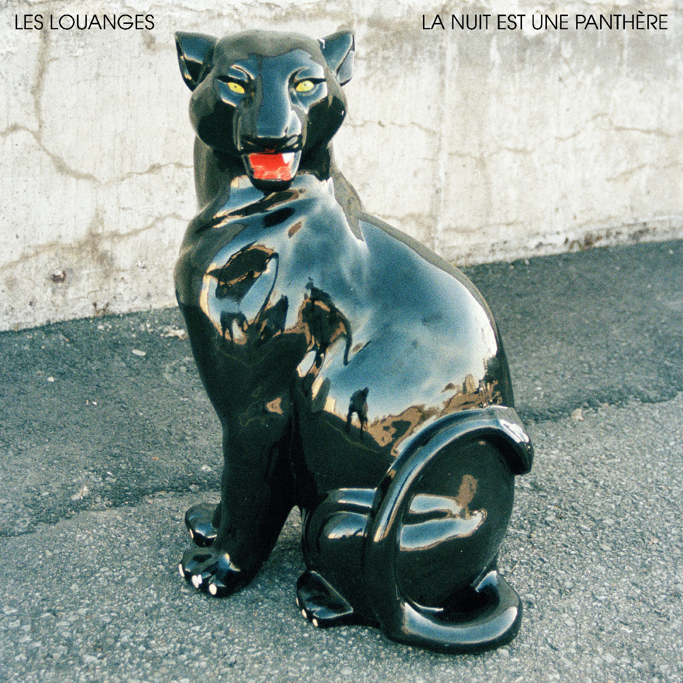Les Louanges La Nuit Est Une Panthère