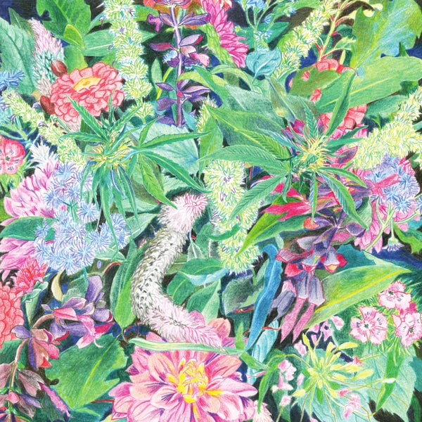 Light-Space Modulator The Rising Wave