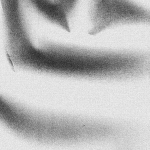 MANCHESTER COLLECTIVE Shades