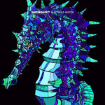 MATTHIAS MEYER Watergate 20