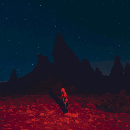 Phoebe Bridgers - Punisher | LP w/ 24 Page Booklet | Kyoto Garden Song