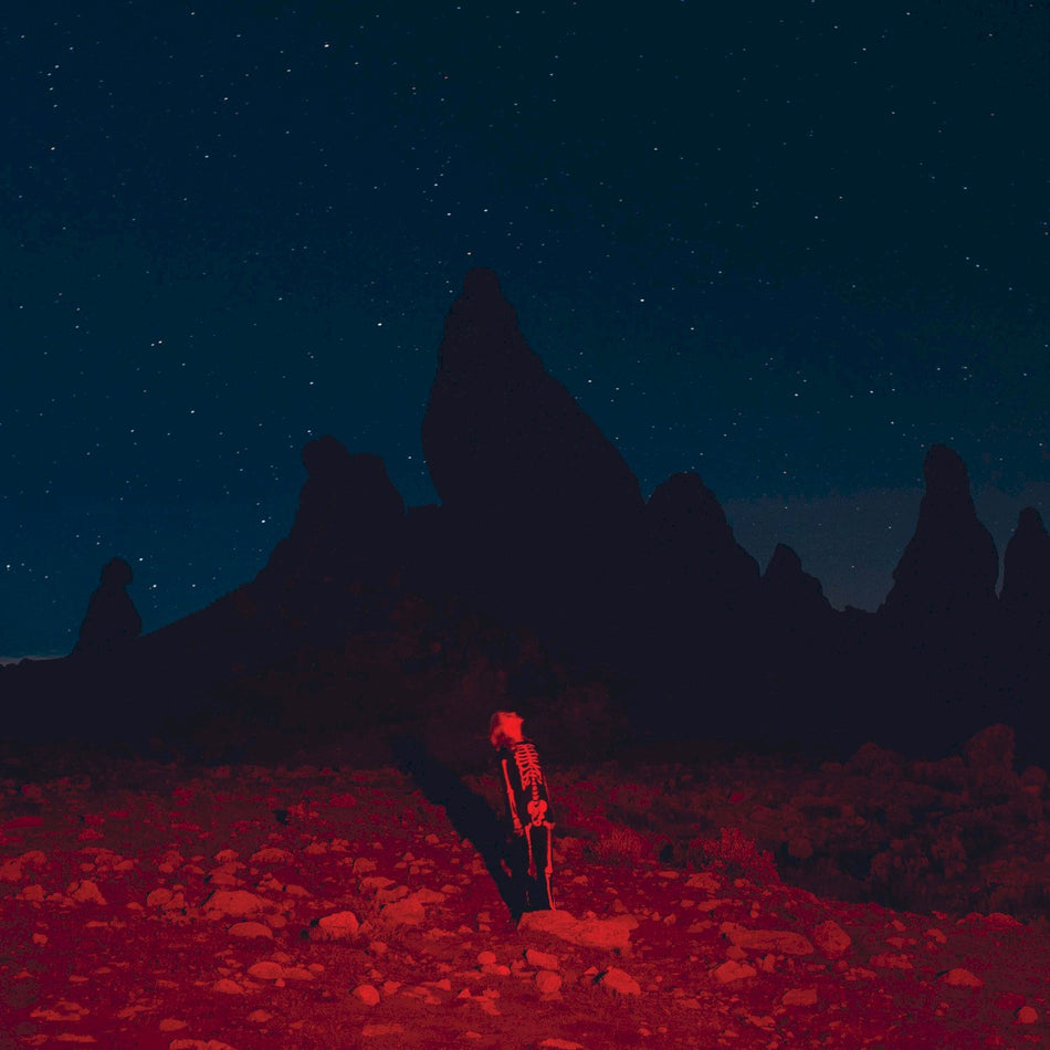 Phoebe Bridgers - Punisher | LP w/ 24 Page Booklet | Kyoto Garden Song