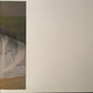 Bjork - Greatest Hits | Hyperballad Army of Me Jóga | 2LP Vinyl