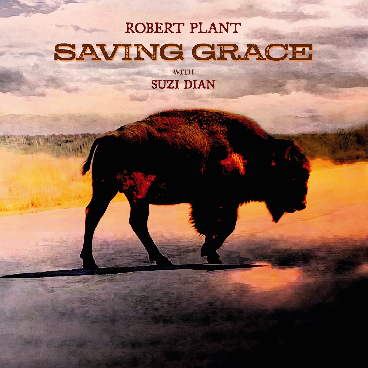 Robert Plant With Suzi Dian – Saving Grace - Fruit Punch Color Vinyl
