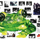 Silverchair - Frogstomp | Limited Edition Yellow & Green Marble 2LP |Teen Grunge