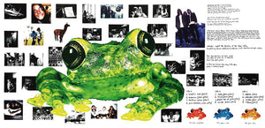 Silverchair - Frogstomp | Limited Edition Yellow & Green Marble 2LP |Teen Grunge