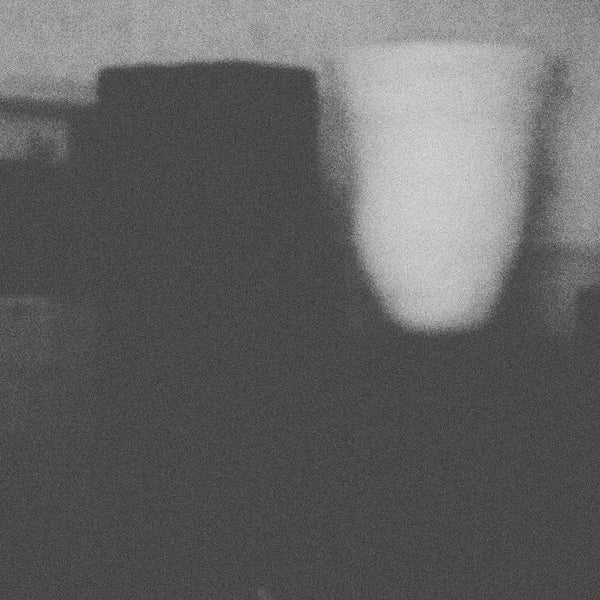 Merzbow The Misfortune Of Virtue The Prosperity Of Vice