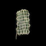 METHODS BODY Plural Not Possessive