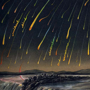 MIKAEL LIND Intentions and Variations