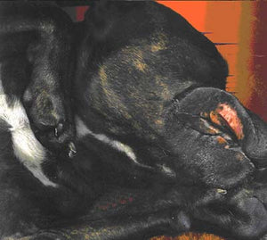 MR 76IX Hits of 76IX Part 2