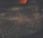 MR 76IX Hits of 76IX