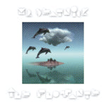 MR. BEATNICK Ile Flottante