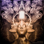 MR. BISON Echoes From The Universe