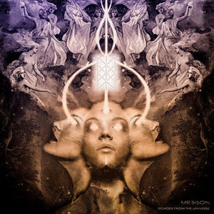 MR. BISON Echoes From The Universe